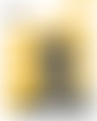 Guest Speaker at Netaji Subhas University of Technology, Delhi