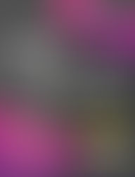 Invited as a Guest Speaker at Surendra Institute of Engineering and Management, Siliguri