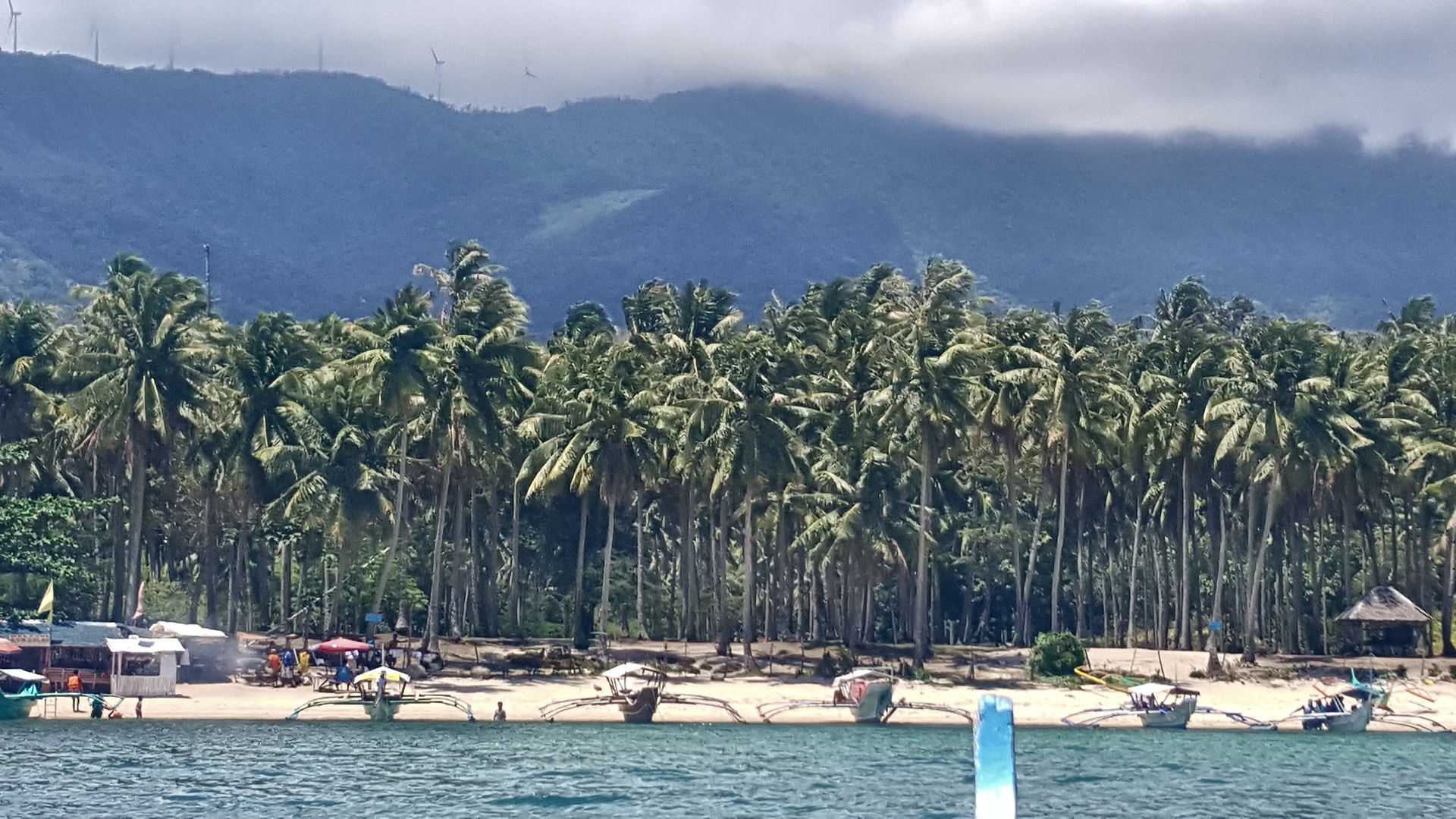 Coconut lined seashore, Puerto Galera
