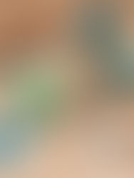 Mithi & Co. — “The New Balikbayan Box”