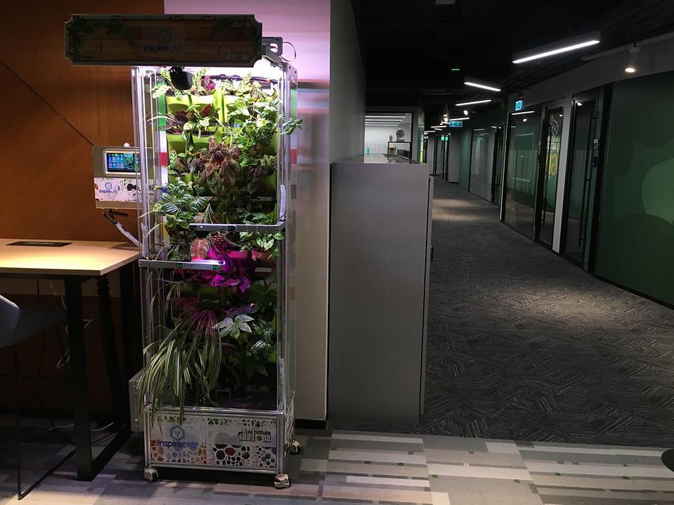 Thumbnail: AI Nature