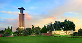 Aliana_0001_1170_489_c1.jpg