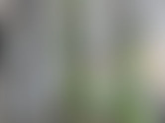 Fascinating Books About Cults