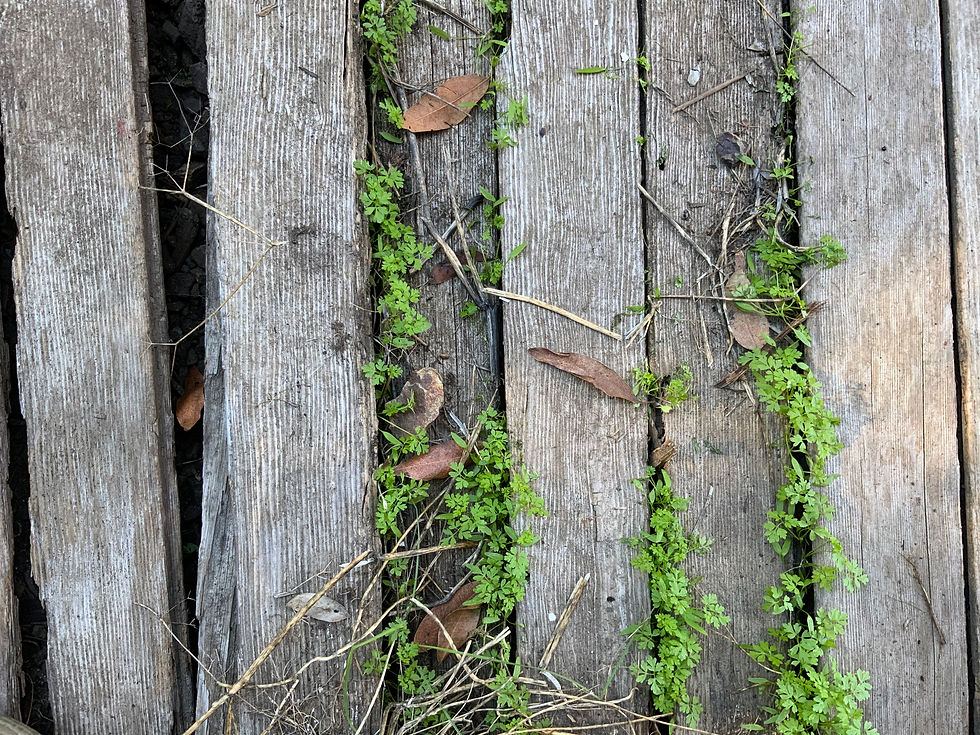 Fascinating Books About Cults