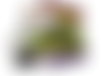 My Top 5 Favorite Stephen King Novels