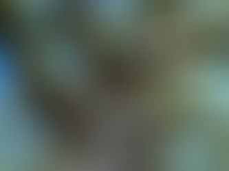 The Twistiest Twisty Twist Books