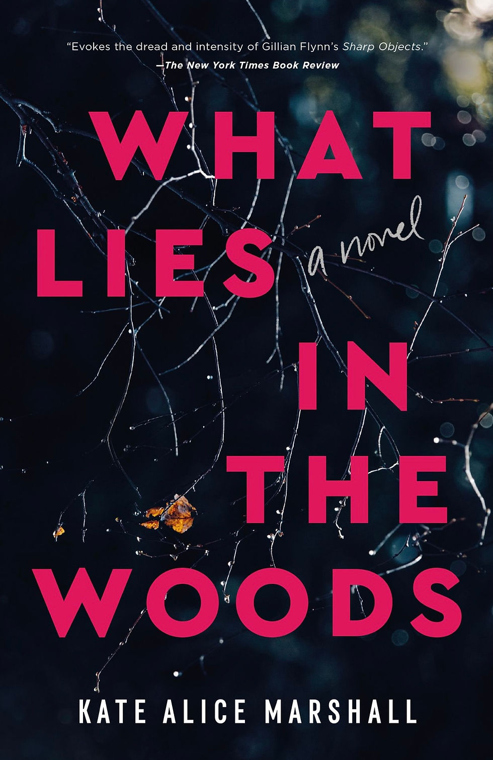 What Lies in the Woods by Kate Alice Marshall book cover with woods at night