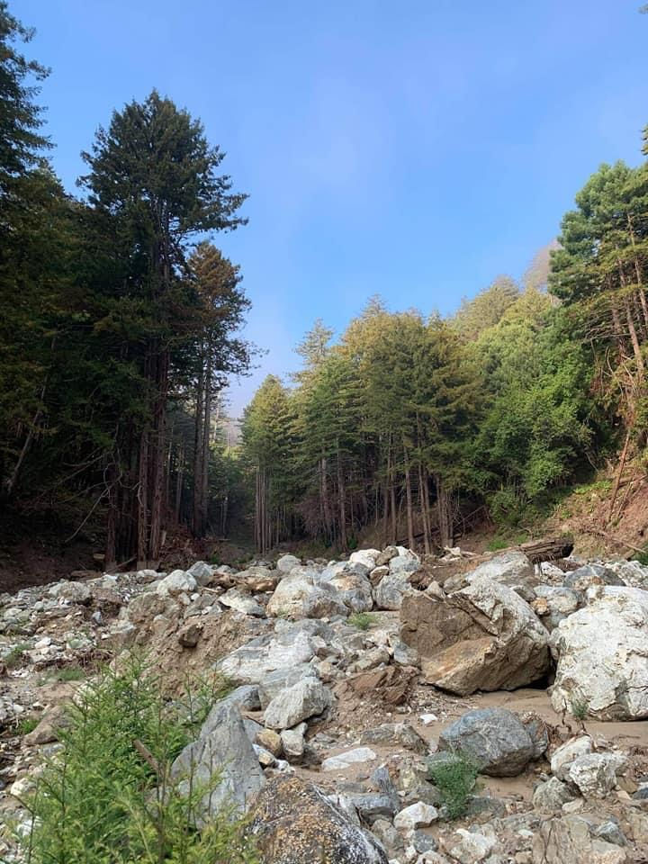 The Best Nature Horror/Thriller Books