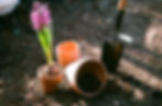 Planting Flowers