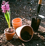 Jamestown Landscaper