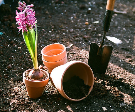 Planting Flowers
