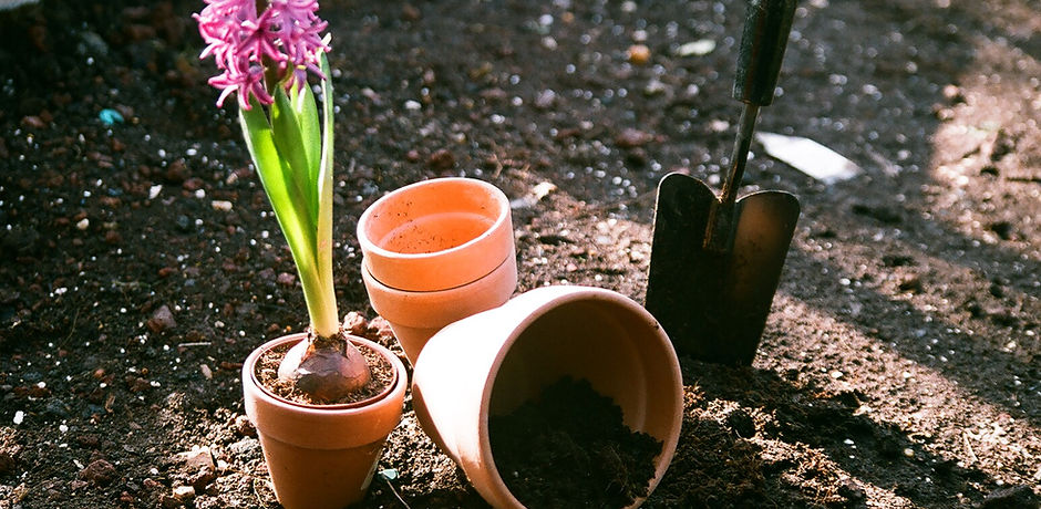Planting Flowers