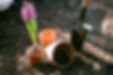 Planting Flowers