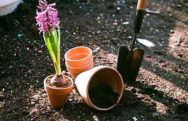 Planting Flowers
