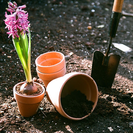 Planting Flowers