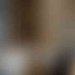 Calacatta Raffello marble kitchen countertops in a historic 1885 Wauwatosa home featuring dramatic veining and custom cabinetry