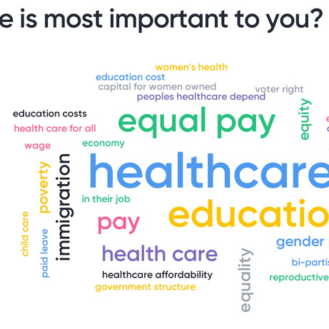 What issue is most important to you?