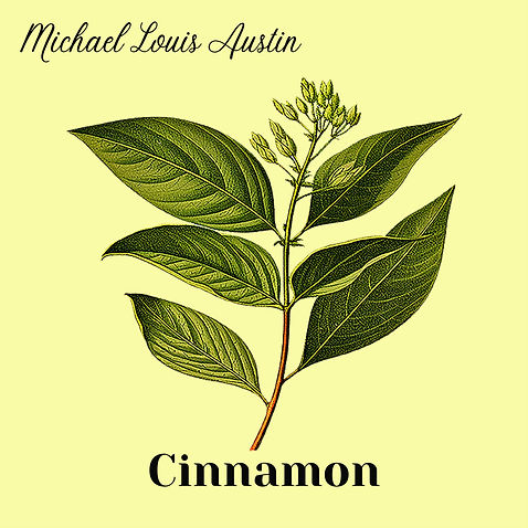 Cinnamon AlbumArt.jpg