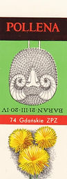 800.jpg