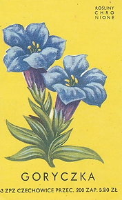 29.webp