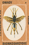 1164.jpg