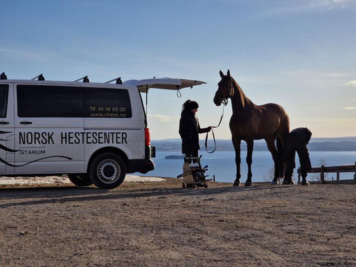 Bli med på spørreundersøkelser om hovslagerfaget i Heste-Norge