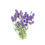 Thumbnail: Lavender Fragrance Oil