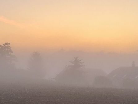 Sonnenaufgang bei Nebel über Hausdach