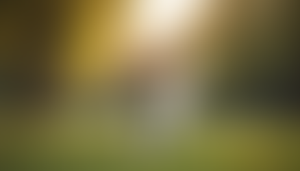 Tackling Dog Reactivity with Local Expertise: Your Guide to Dog Reactivity Guidance