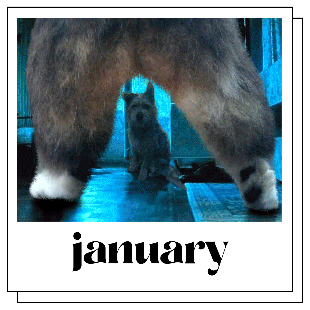 Calenders_Animation.gif