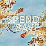 SpendSave_Story-Frame-1.jpg