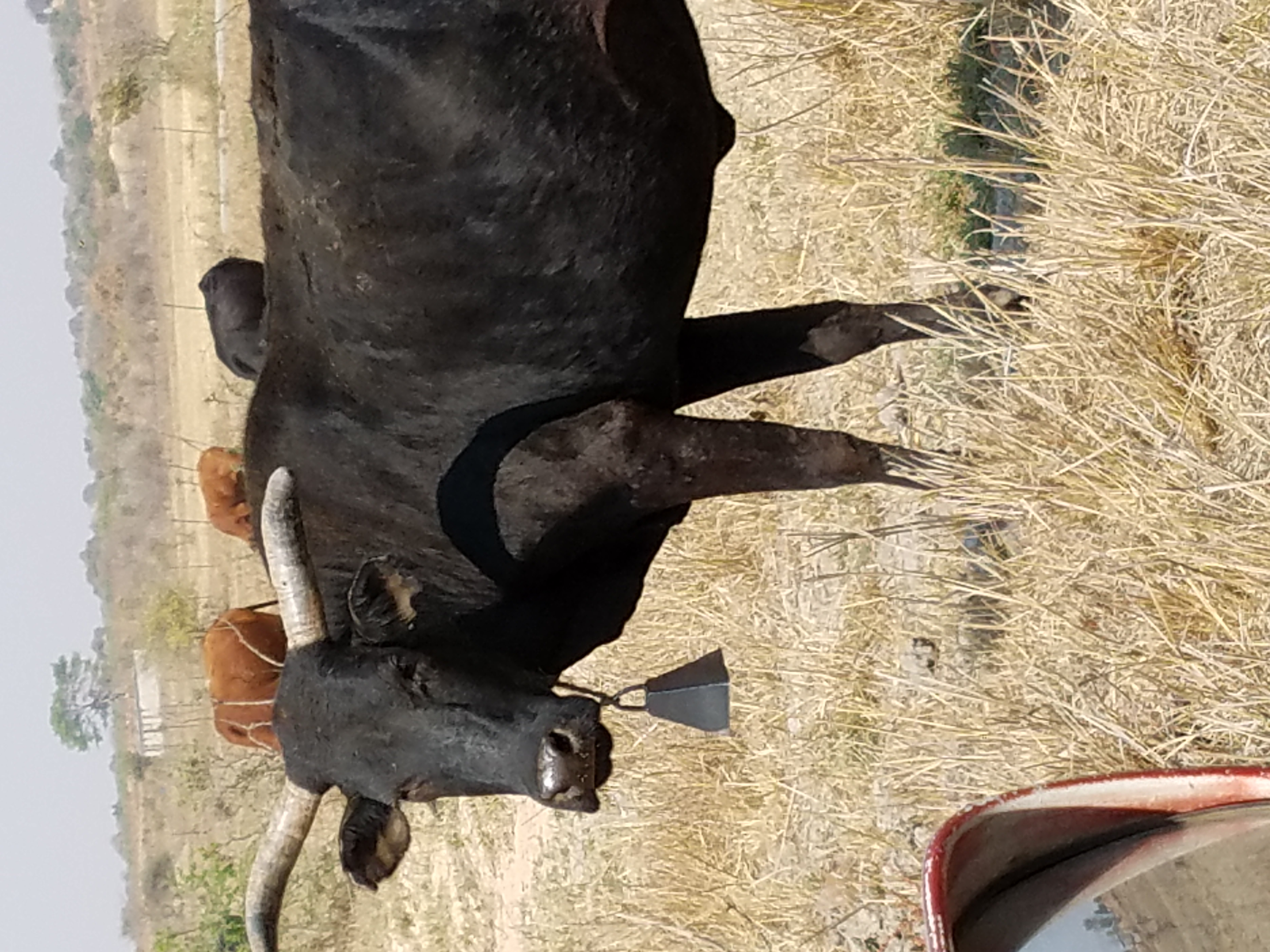 20170910_Zambia Mission