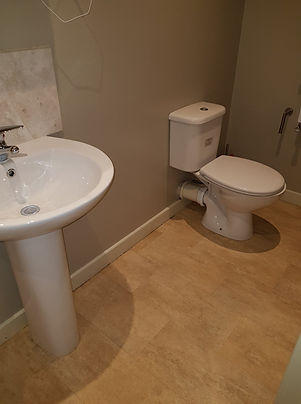 cleaned sink basin and toilet