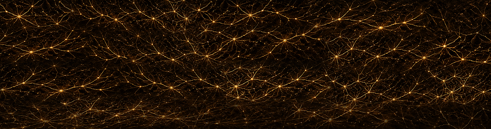 matching-soil-mycelium-dirt-only-background-5524x1460-retina-2x.png