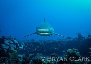 DSC_4543-2.jpg
