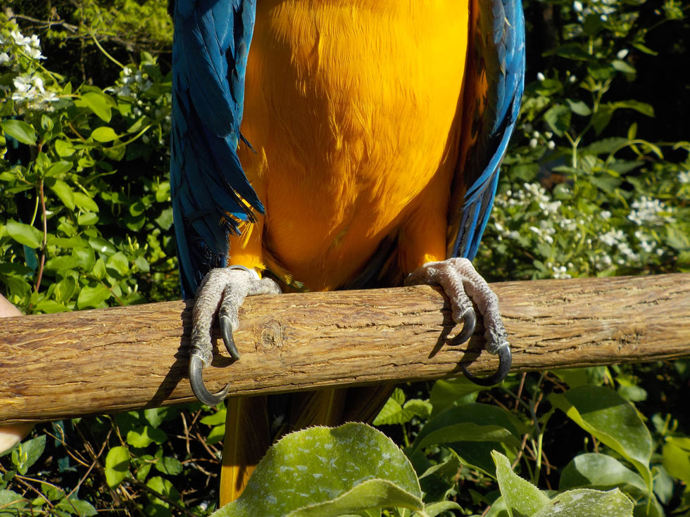 DSCN6515.JPG