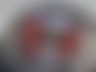 ベトナムフェスティバル2018