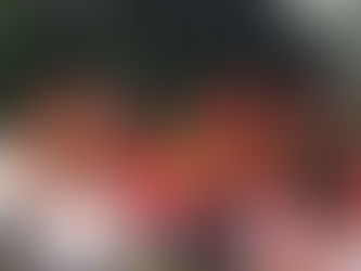 フォートンお祭り・ハイツお祭り