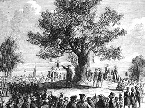 A photo of the liberty tree in Boston.