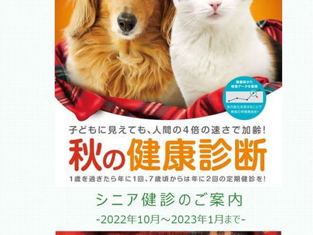 シニア健診のご案内