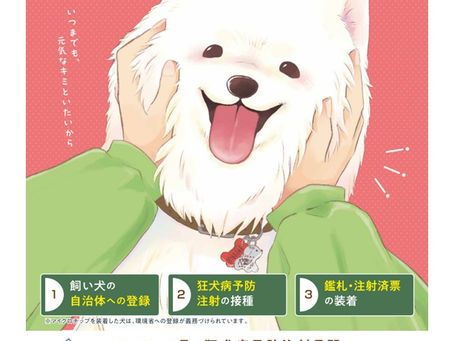 4月の午前休診日