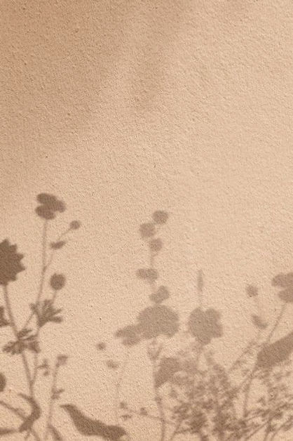 flower shadow.jpg