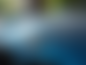 Top Options for the Best Paint Protection Methods