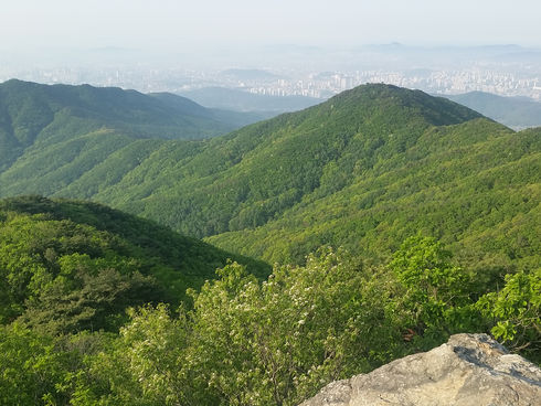 Save your entity set-up cost in Yong-in city