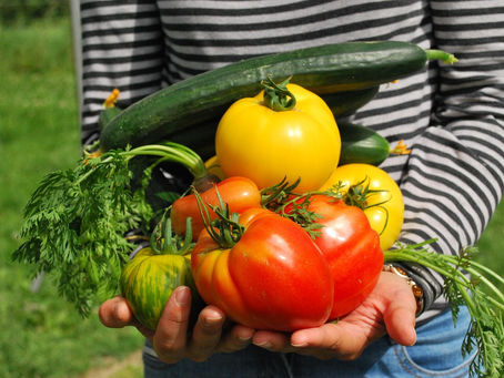 Transforming Our Planet: The Surprising Environmental Benefits of Embracing a Plant-Based Diet