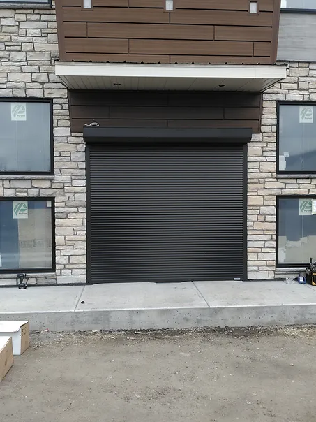Roller Door