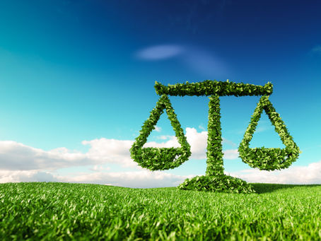 Common Issues in Agricultural Law a Lawyer Can Help With