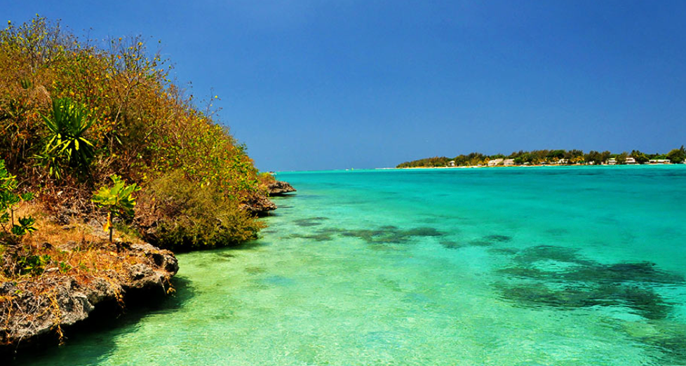 Turquoise waters lap against Île aux Aigrettes, highlighting the island's lush vegetation and serene beauty under a clear blue sky.