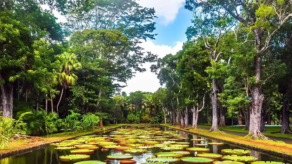 High angle view of lush green mountains and valleys in Mauritius