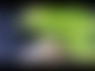 Gutter Clearing in Teignmouth using a gutter vacuum